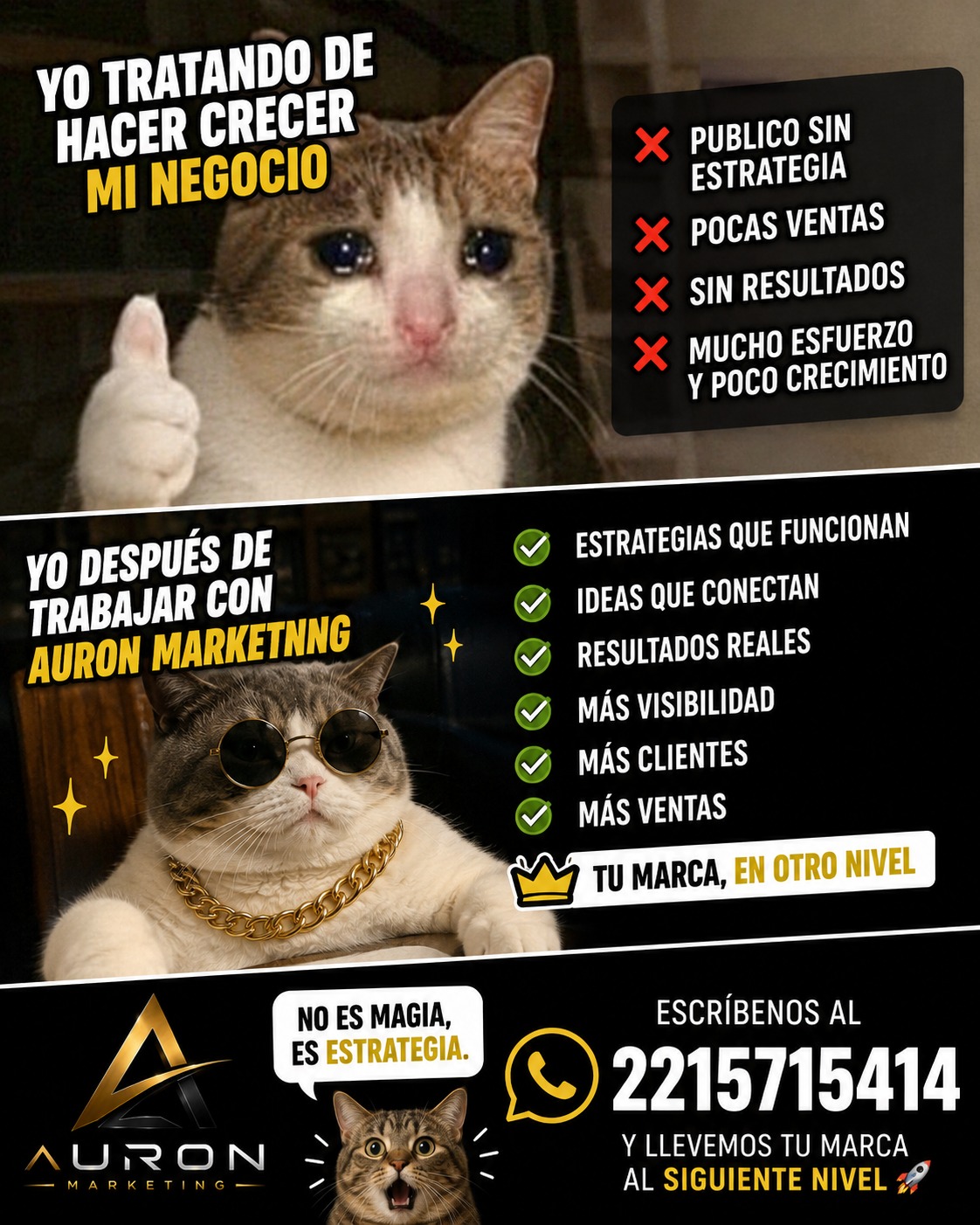 Campaña de crecimiento para Auron Marketing